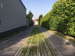Eine neue Zuwegung zum Einfamilienhaus, Dirk Prothmann Garten- und Landschaftsbau, Hille